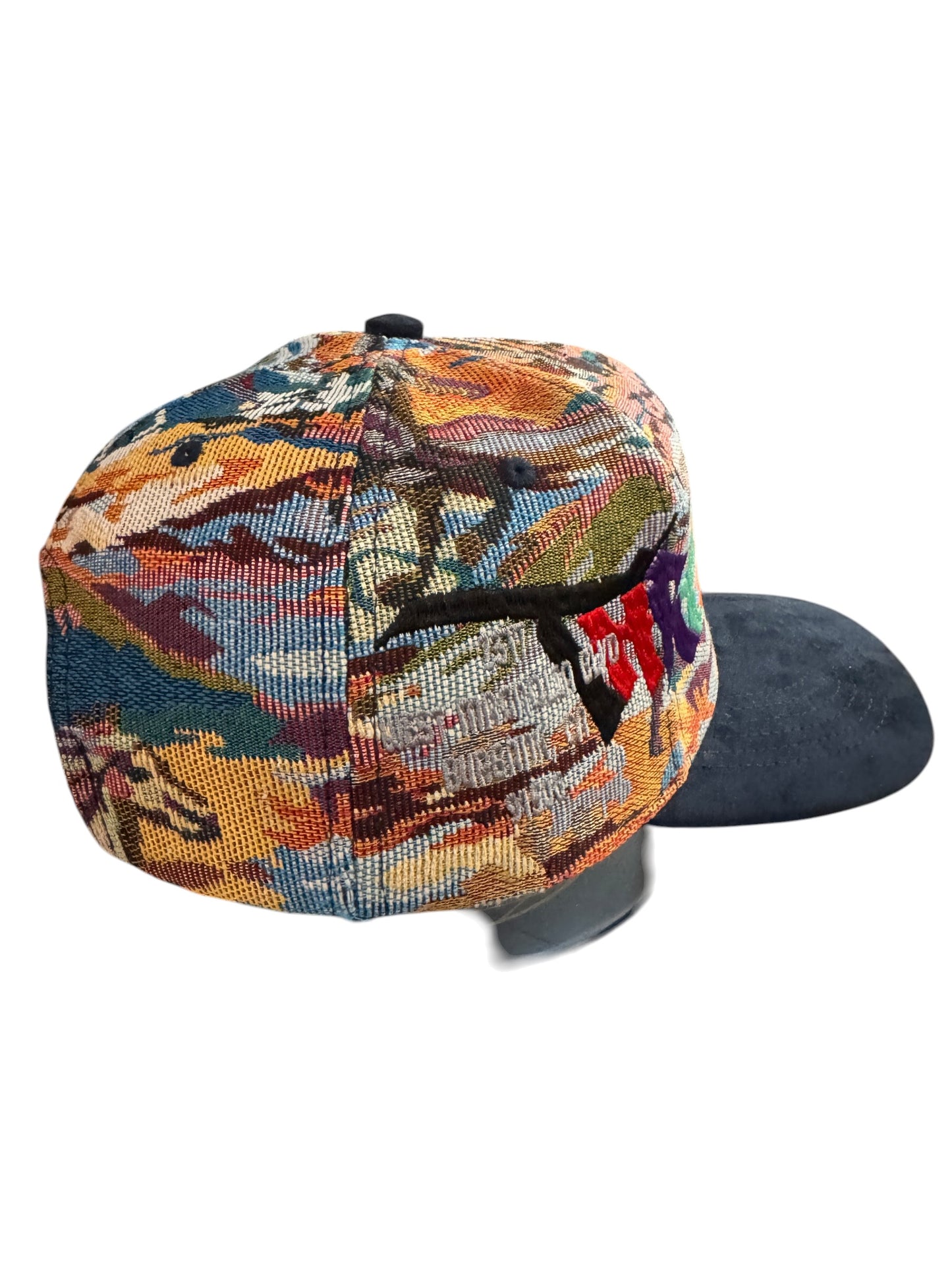 Threadquarterz Rainbow Script Snapback Mountain Pattern