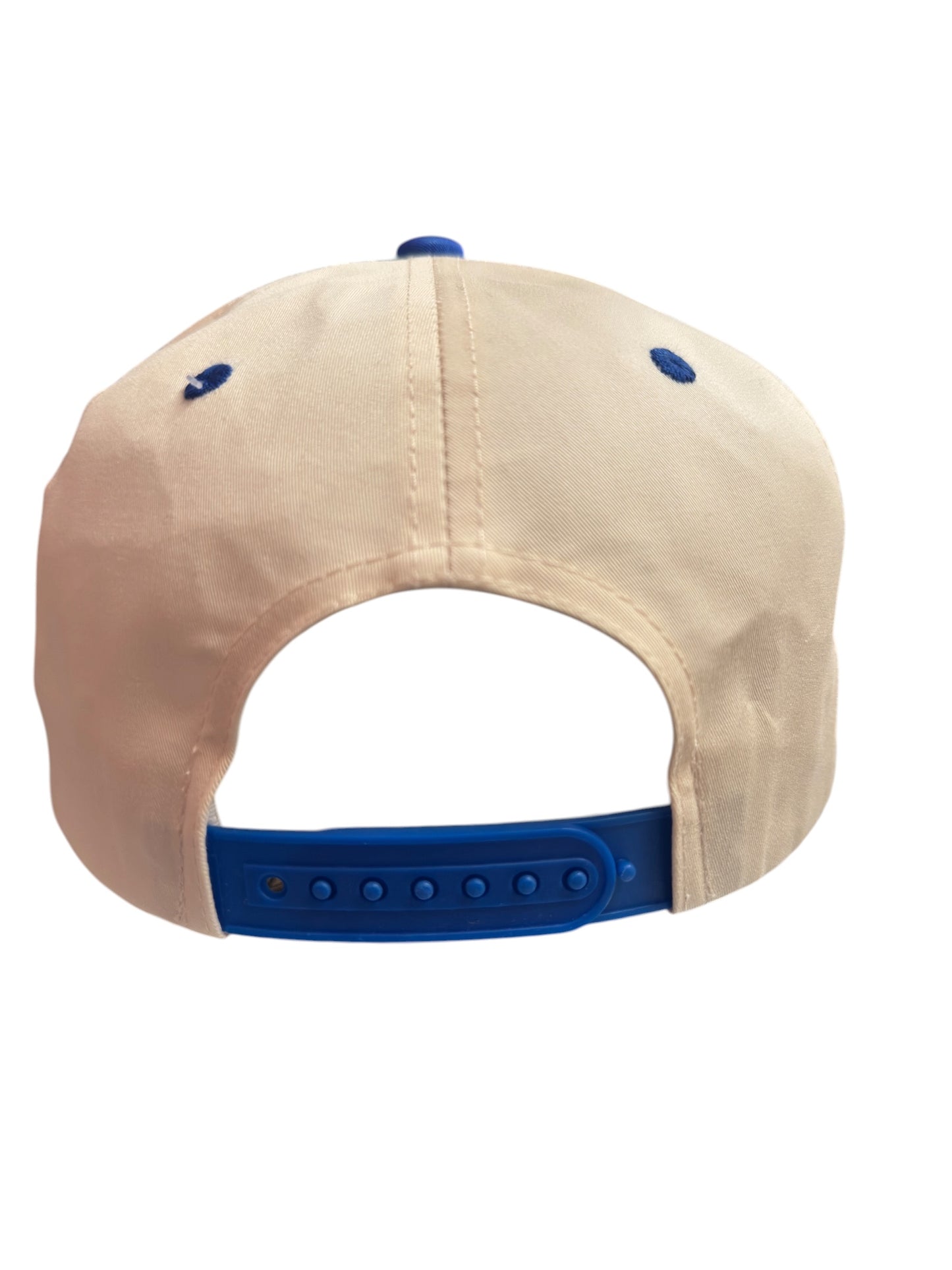 Power Rangers Snapback Cream / Blue