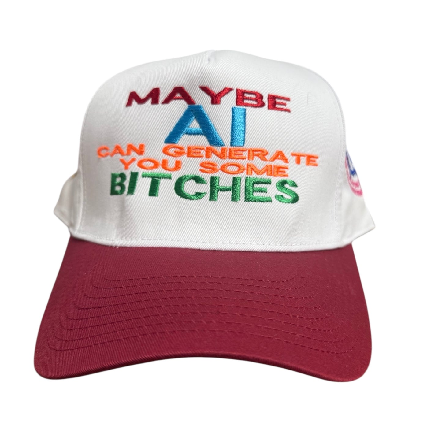 "MAYBE Ai CAN GENERATE YOU SOME BITCHES" SNAPBACK